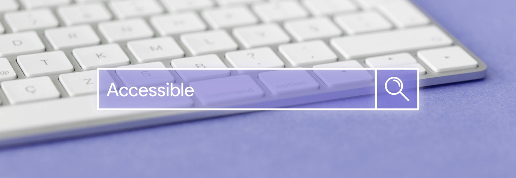 keyboard-Accessible-search-bar-purple